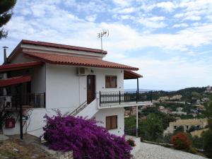 Paschos Rooms Epirus Greece