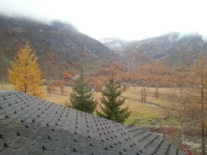 Il Pino B&B