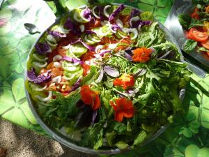 B&B / Chambres d'hotes La Source, Vegetarian Guest House : photos des chambres