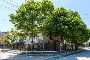 Апартамент Apartamente cu gradina ARIEL & NEMO Эфорие-Норд Румыния