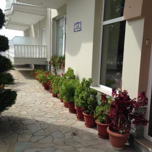 Hotel Akrogiali Olympos Greece