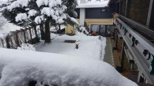 Alpen-Appartementhof