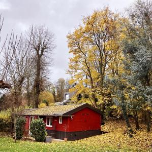 B&B / Chambres d'hotes Le Cabanon de Chessy : photos des chambres