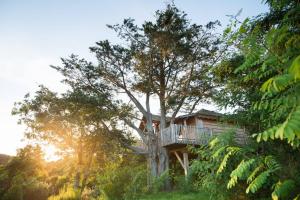 Hotels La Gree Des Landes - Eco-Hotel-Spa Yves Rocher : photos des chambres