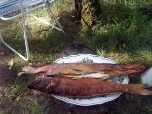 Järvenukka Puhkemaja