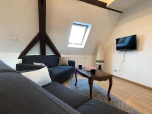 Appartements Le Chateau du Haut-Koenigsbourg : photos des chambres