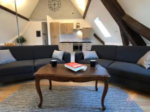 Appartements Le Chateau du Haut-Koenigsbourg : photos des chambres