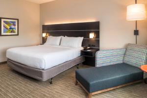Standard Room room in Holiday Inn Express & Suites - Tampa North - Wesley Chapel an IHG Hotel
