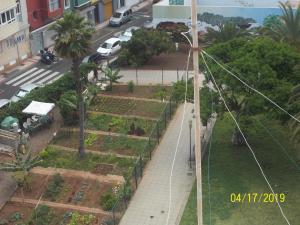 SANSOFÉ VIVIENDA ESTUDIO