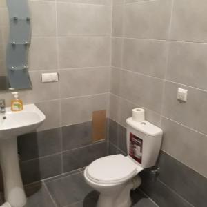 Veľká Vasylkivska, 132,,