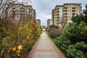 Apartment Downtown Karpat 9