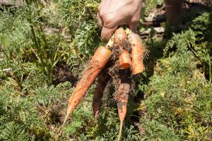 Casa Aconchego do Sol 5 minutos do centro