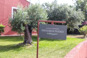 Dendrolivano Kefalloniá Greece