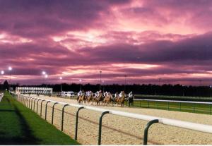 Holiday Inn Wolverhampton - Racecourse by IHG