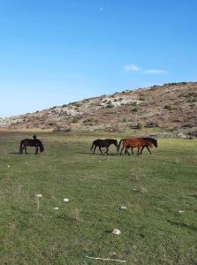 Arli House Orini-Korinthia Greece