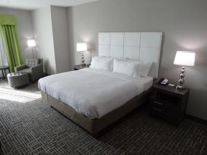 Premium King Room room in Holiday Inn Covington an IHG Hotel