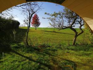 Maisons de vacances O p'tit nid Milie : photos des chambres