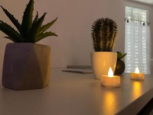 Appartements Appartement Cosy Jacuzzy Luxe Gare de Toulon : photos des chambres