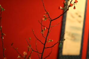 和美再美 石動 柏屋 Wabisabi Isurugi Kashiwaya