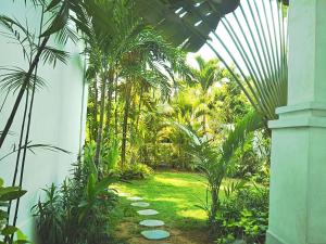 Merrys House canggu