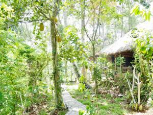 Green Vanilla Bungalow