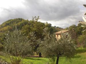 B&B Il Sentiero nel Bosco