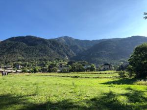 Appartements Snowgums Chalet Apartments : photos des chambres