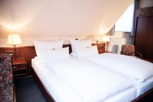 Double Room room in Hotel Lonac