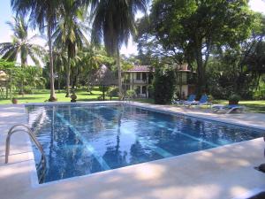 spirit of jungle lodge