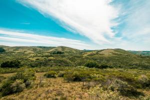 Camino el Portal del Alma