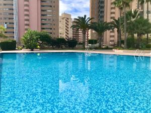 Two-Bedroom Apartment room in Paraiso 10 Blueline