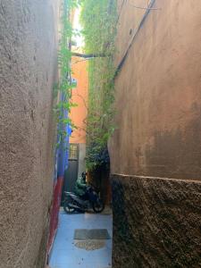 Riad Abaka hotel & boutique