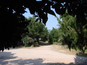 Agriturismo Su Tiresi img44