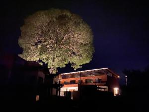 Cabaña Quinta Gaes Spa