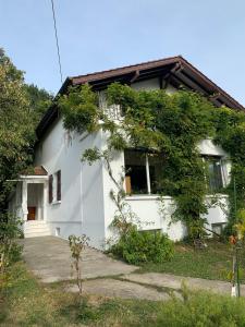 Suite Le Grand-Saconnex guesthouse, 5 min walk to airport Genève Sveits