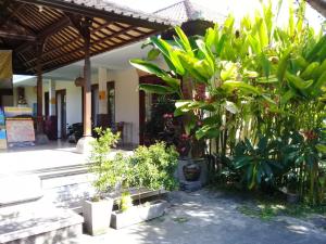 Darta House