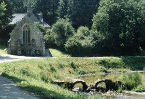 B&B / Chambres d'hotes Les Etangs de Pitie : photos des chambres