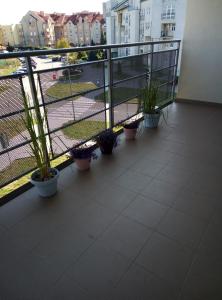 Apartament Górczyn