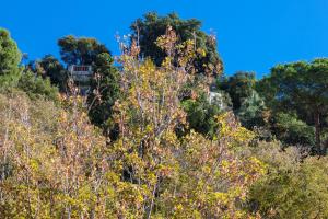 Appartements Vieux Nice Marché aux fleurs