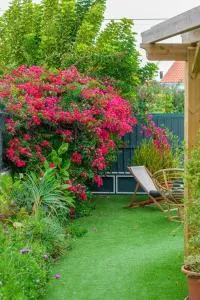 Casa das Hortênsias - Charming Guest House - Mourlinho