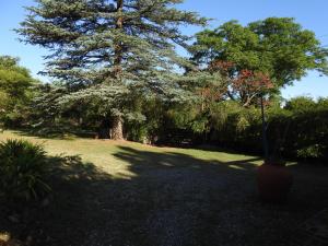 De Adobe Unquillo