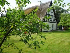 Haus Bela - Mattchow