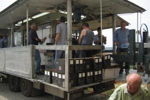 wine apartment le sedici