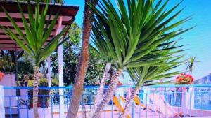 LIncanto di Cala Feola