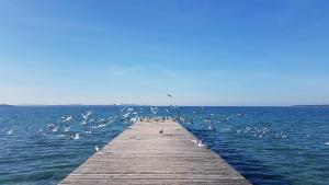 Cosy villa near the beach