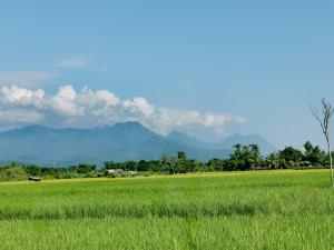 Ban Din Resort Chiang Rai