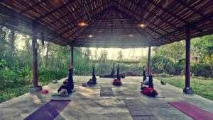 Nature Care Village- Rajaji National Park