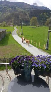 Ferienwohnung Inrefrid