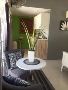 Man And Tree House - Schotschekloof