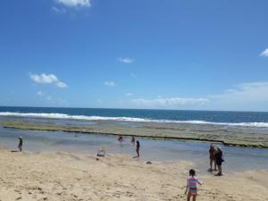 Flat beach class muro alto